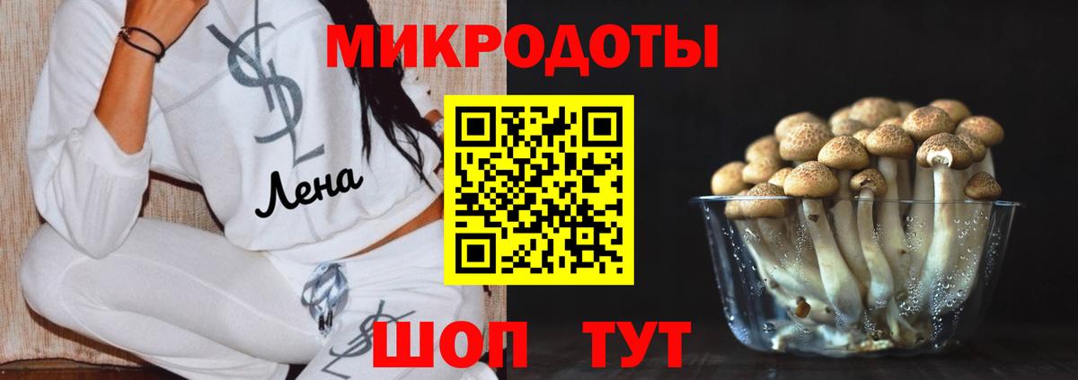 Сердобск  Галлюциногенные грибы MAGIC MUSHROOMS  Вход с VPN  Псилоцибиновые грибы прущие грибы 